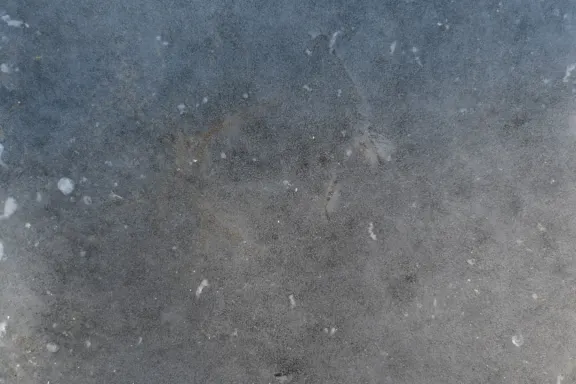 Casino Coins Game Suporte